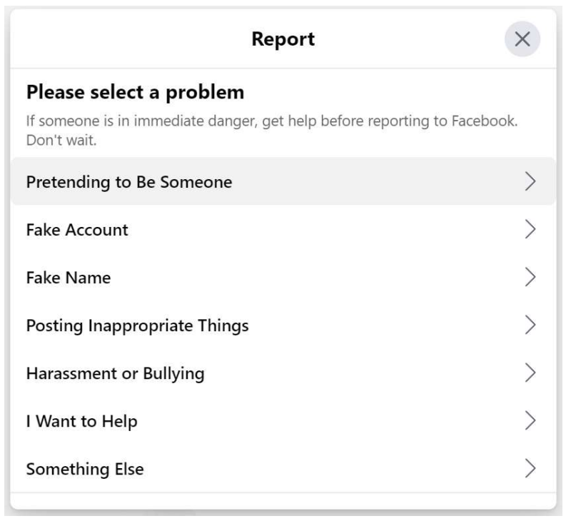 Reasons to report a profile