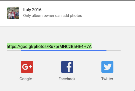 Google Photos share option