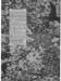 1970 Folk Music Society