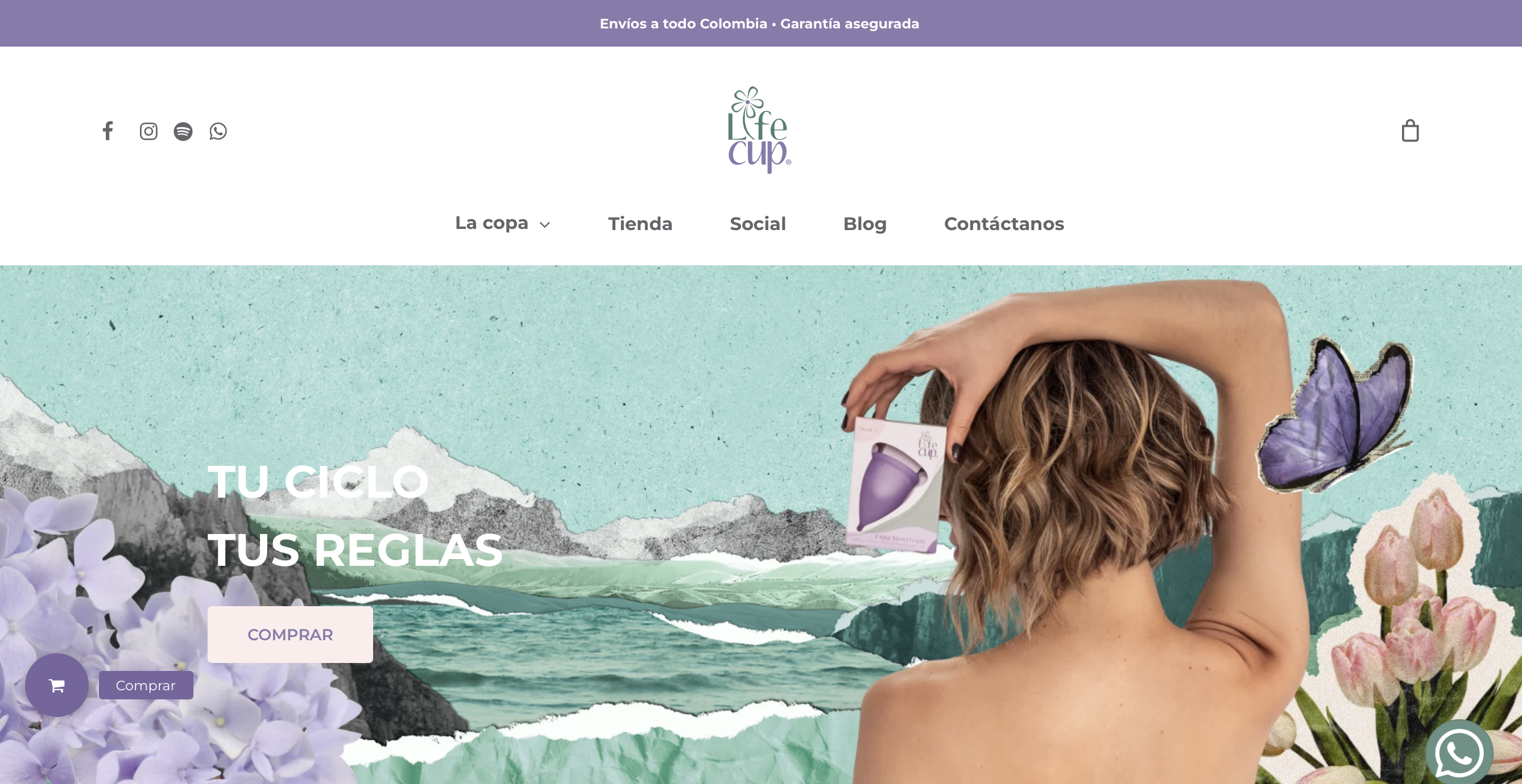 Lifecup.co