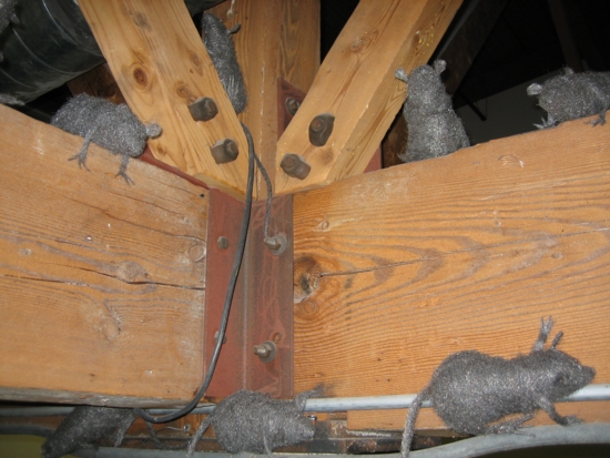 Steel Wool Rats
