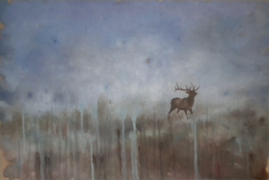 Blue Deer